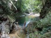 Bach Ma - Centre of  flora Diversity in Vietnam