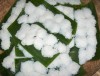 Bun (rice vermicelli), the origin for many Vietnamese delicious dishes!