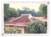 Ton Thanh Pagoda ??? the national vestige