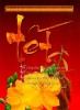 Vietnamese Lunar New Year
