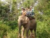 Yok Don National Park