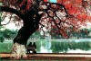 Ho Hoan Kiem (Ho Guom) - Lake of the Restored Sword