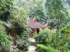 Tam Dao National Park, a unique tourist site...