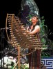 T???rung - The traditional folk-musical instrument