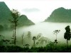 Xuan Son National Park, one of Vietnam wild natures in focus!