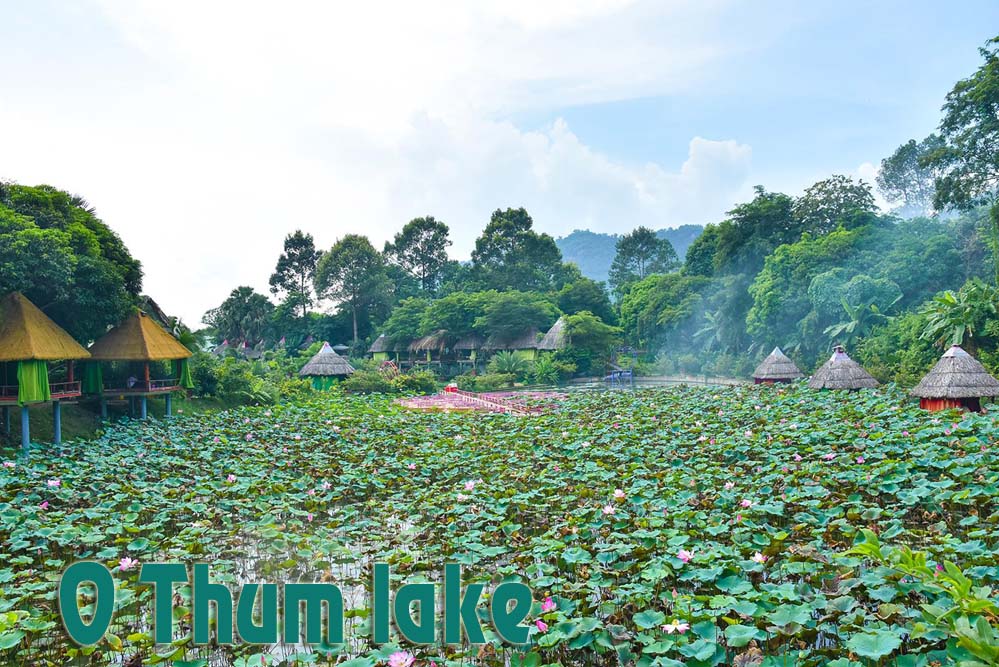 Visit O Lam and discover the unique features